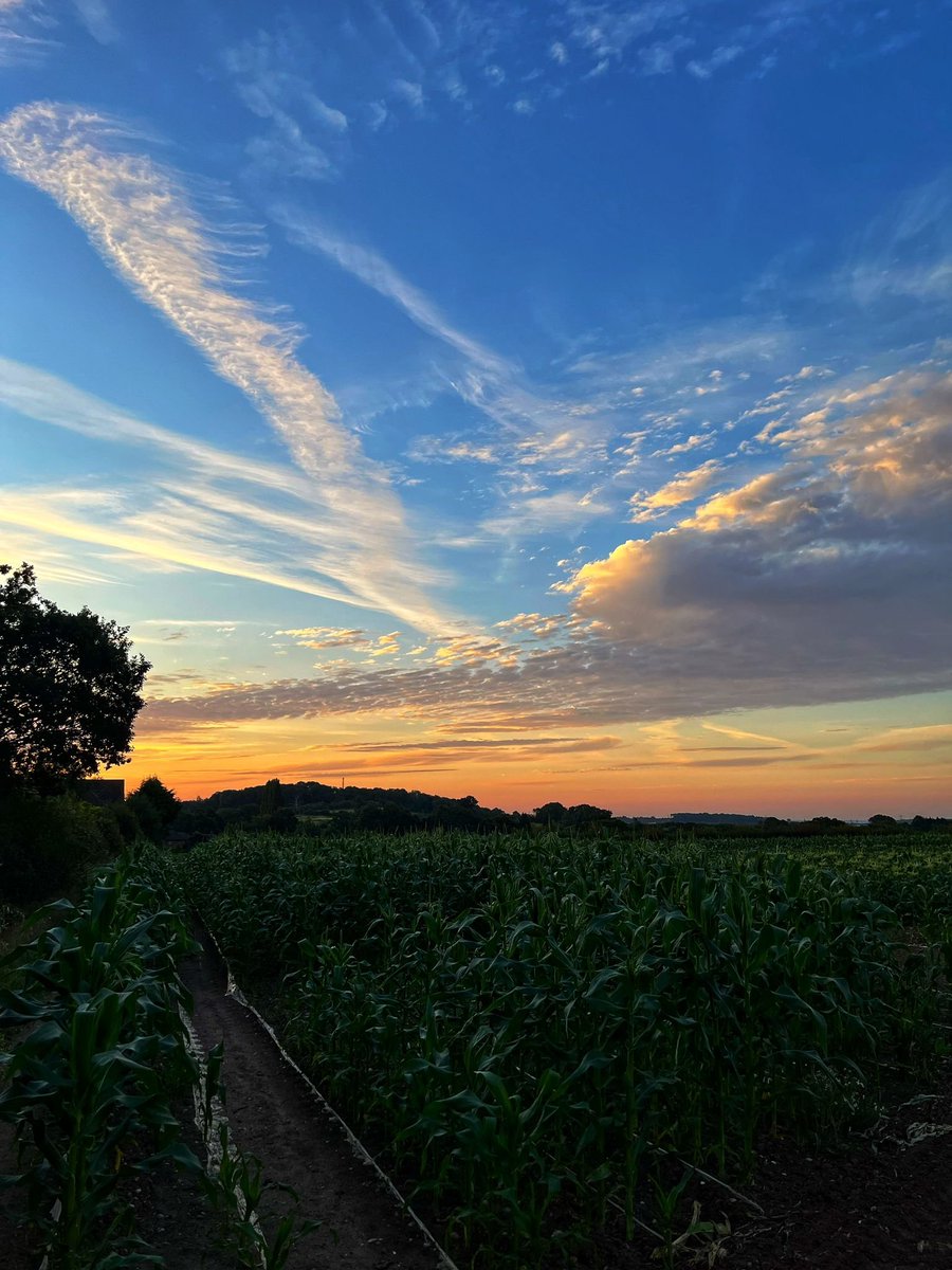 charleyblogs's tweet photo. The sky was showing off like you wouldn't believe on this morning's dog walk. https://t.co/aBXQ25W7si