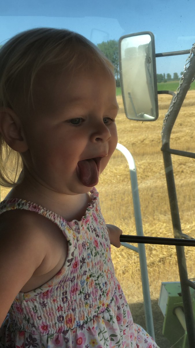 Los in de tarweoogst 🌾!, matige opbrengst bij mooie omstandigheden 😊