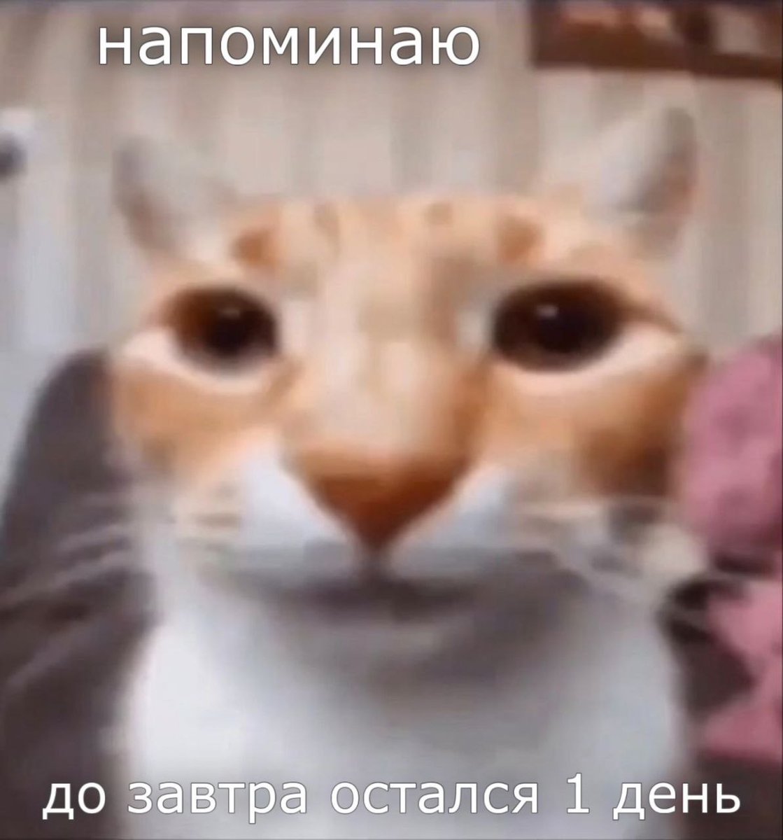 не пропустите