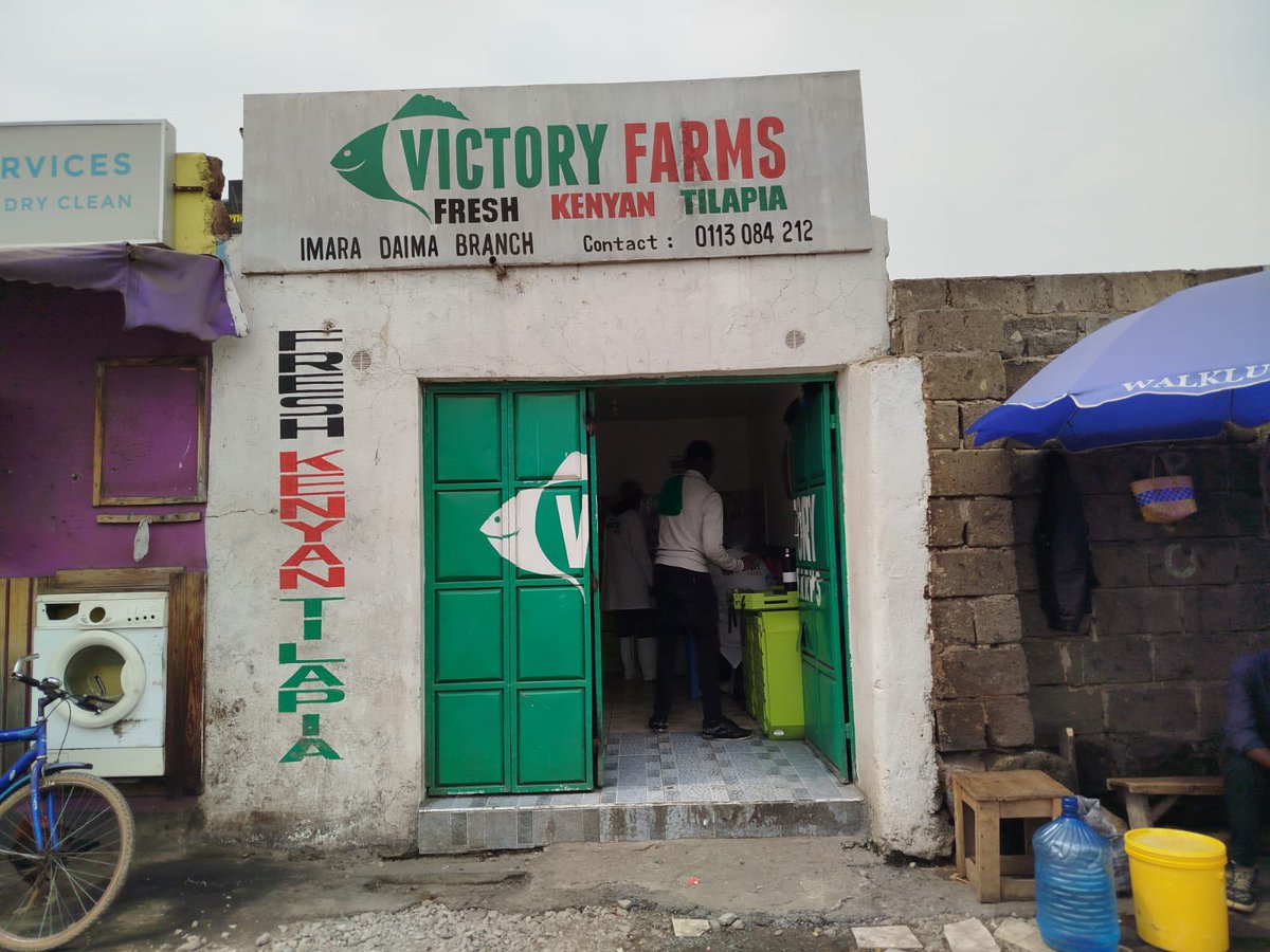 Kuwams🍉 (@kuwamocho_) on Twitter photo When it comes to Tilapia you can never go wrong with <a href="/VictoryFarmsLtd/">Victory Farms Ltd</a> the best selling quality quality fish farm at the moment👌🏾
To access their directory dail *617*13# and get served with affordable Tilapia at your nearest branch #BigFishBonanza When it comes to Tilapia you can never go wrong with <a href="/VictoryFarmsLtd/">Victory Farms Ltd</a> the best selling quality quality fish farm at the moment👌🏾
To access their directory dail *617*13# and get served with affordable Tilapia at your nearest branch #BigFishBonanza