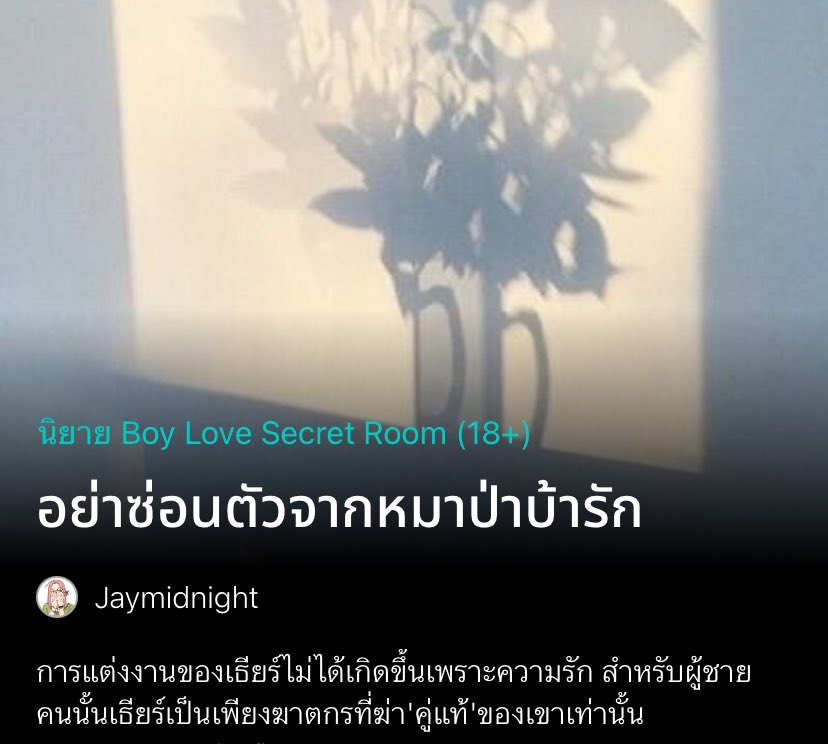เซฟแนะนำนิยายวาย 📚 ✿ 𓂂 יִ (ตอบช้า) tweet media