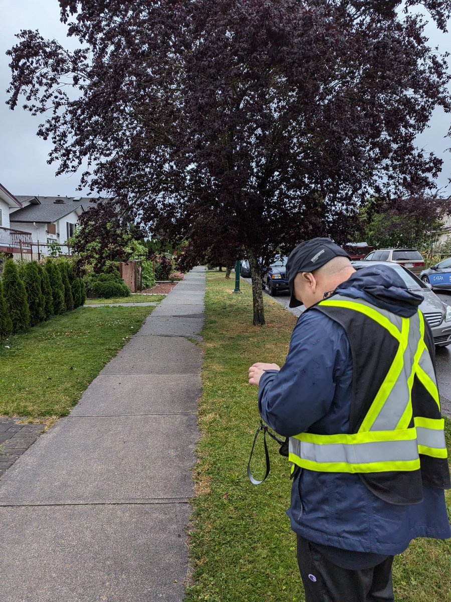 CollingwoodcpcC's tweet photo. It was a wet Monday evening, July 29/34.
@CollingwoodCPC 1st #patrol was out in the #Vancouver
#Community.
#volunteer run
#Team, w/
Juan
Stephen
Markus
#madeadifference tonight by reporting issues, such a low hanging branch.
#cleanup was arranged.
We aim to serve, rain or shine. https://t.co/JlQ74u6B11
