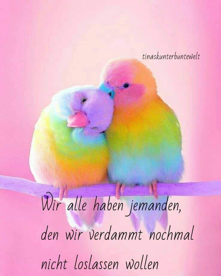 KaBj77's tweet photo. #verloreneliebe #schönezeit #zusammenkommen #gemeinsamezeit #füreinanderbestimmt https://t.co/g3kJoUguv9