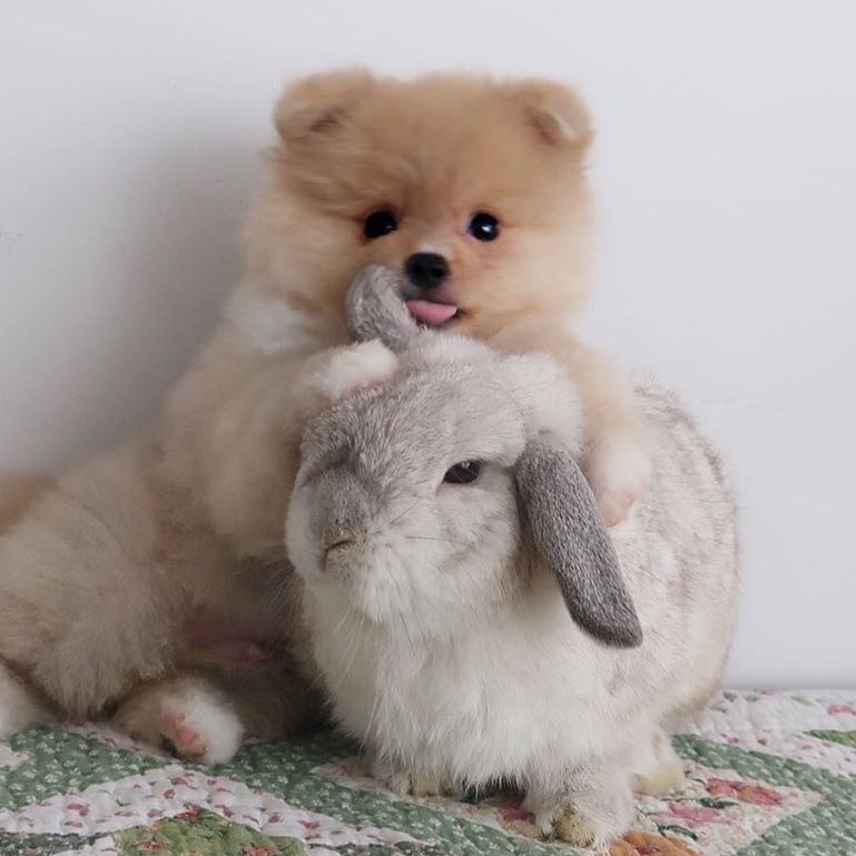 CSBZONES's tweet image. 