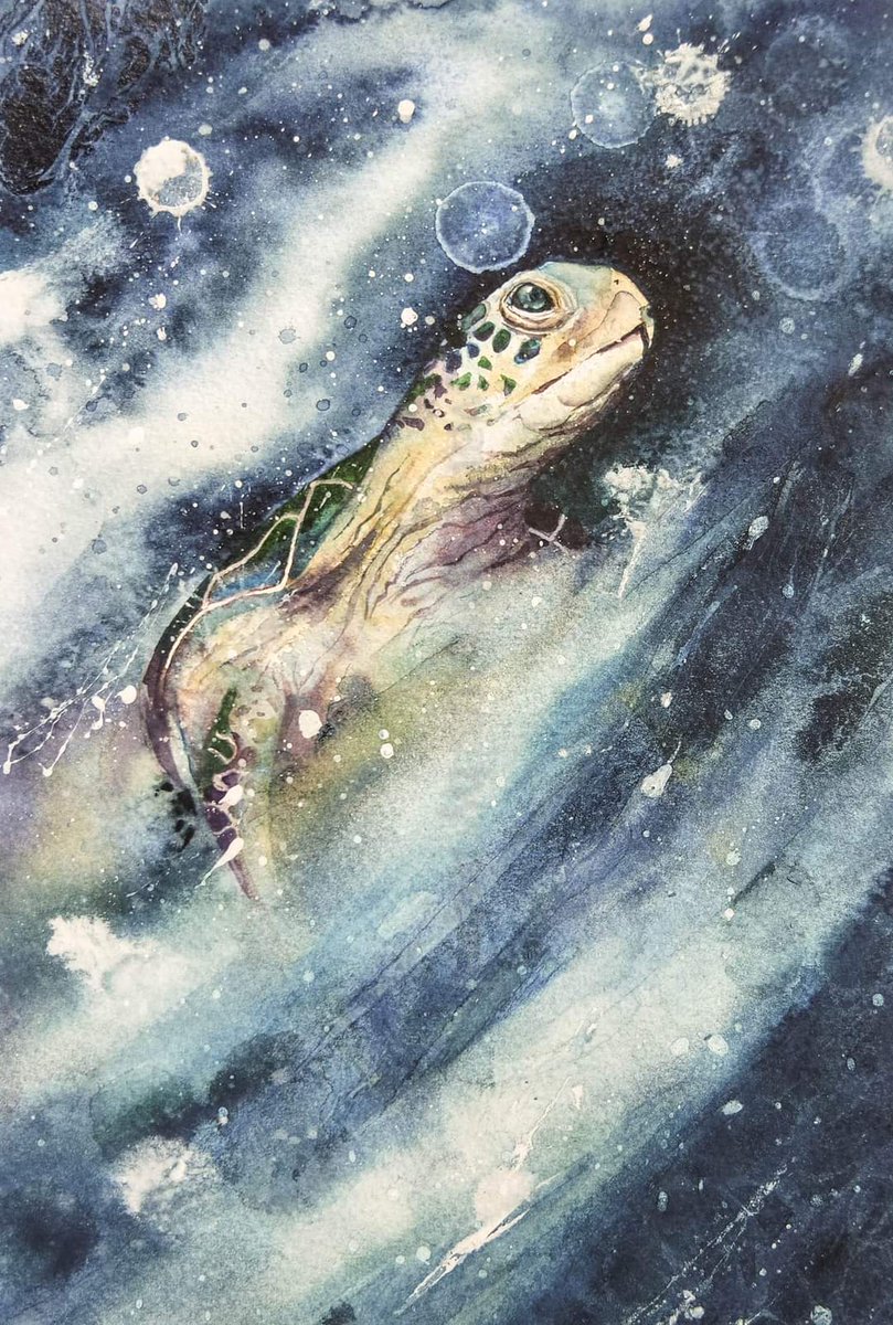 Elidanza's tweet photo. Have a turtlelly awesome Tuesday x

#watercolour #watercolourpainting #bluePlanet #underthesea #water #turtle #endangered #wildlifeart #wildlifeartist #painting #paint #ocean #wildlifeart #painting #artist #art https://t.co/DobycclTE1