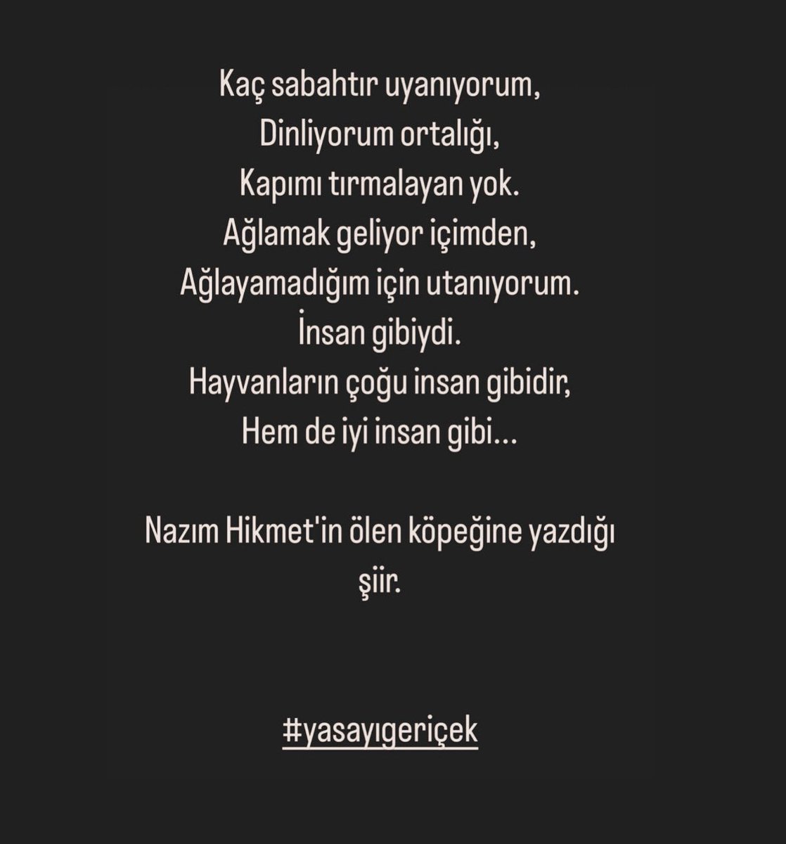 Gaye Zorlu (@gayezorlu) on Twitter photo 