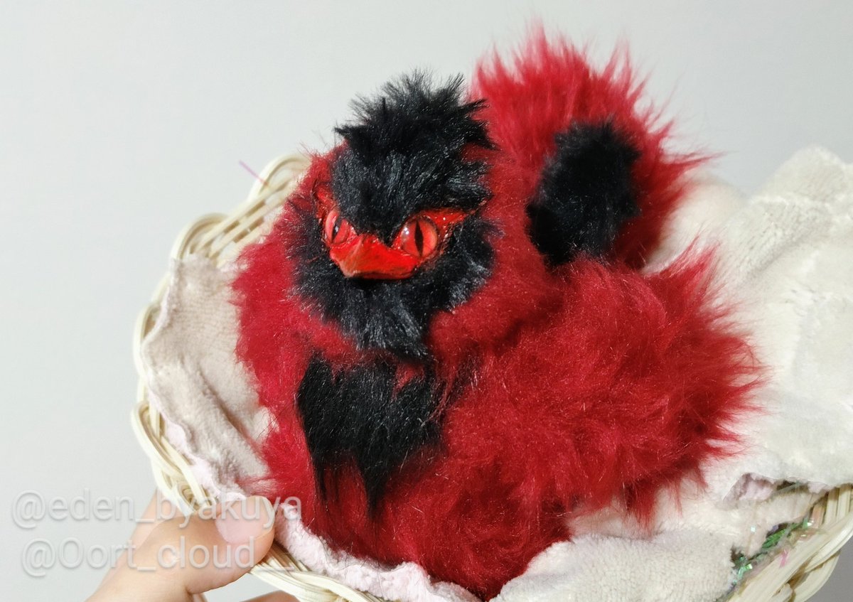 外の世界の皆様へ。
鳥型白昼夢 #アートドール  #鳥
｢ハグミーファルコン赤/再誕｣のお家探しを致します。

不死鳥とハグミーファルコンのハイブリッド。交雑種ゆえ性質や外見などどっち付かずの部分もあるが、生まれ変わりを経てより不死鳥らしさが強くなった。

ツリーに続きます