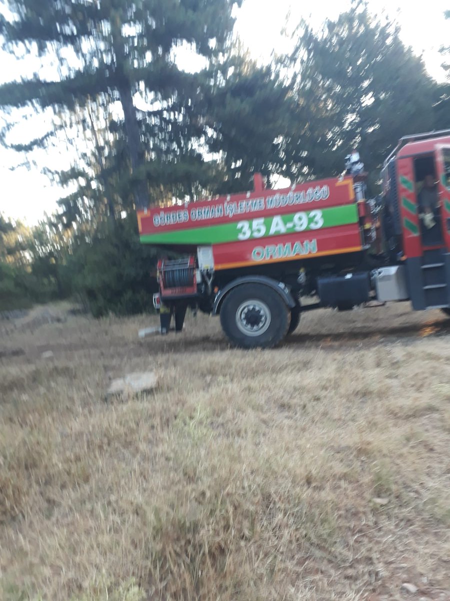 Kalemoğlu Ormanını Savunuyor tweet media