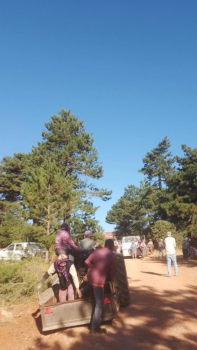 Kalemoğlu Ormanını Savunuyor tweet media