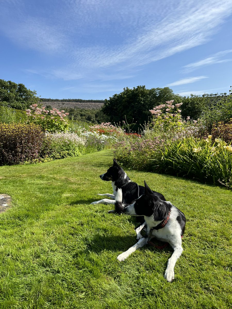 North Coast Explorer tweet media