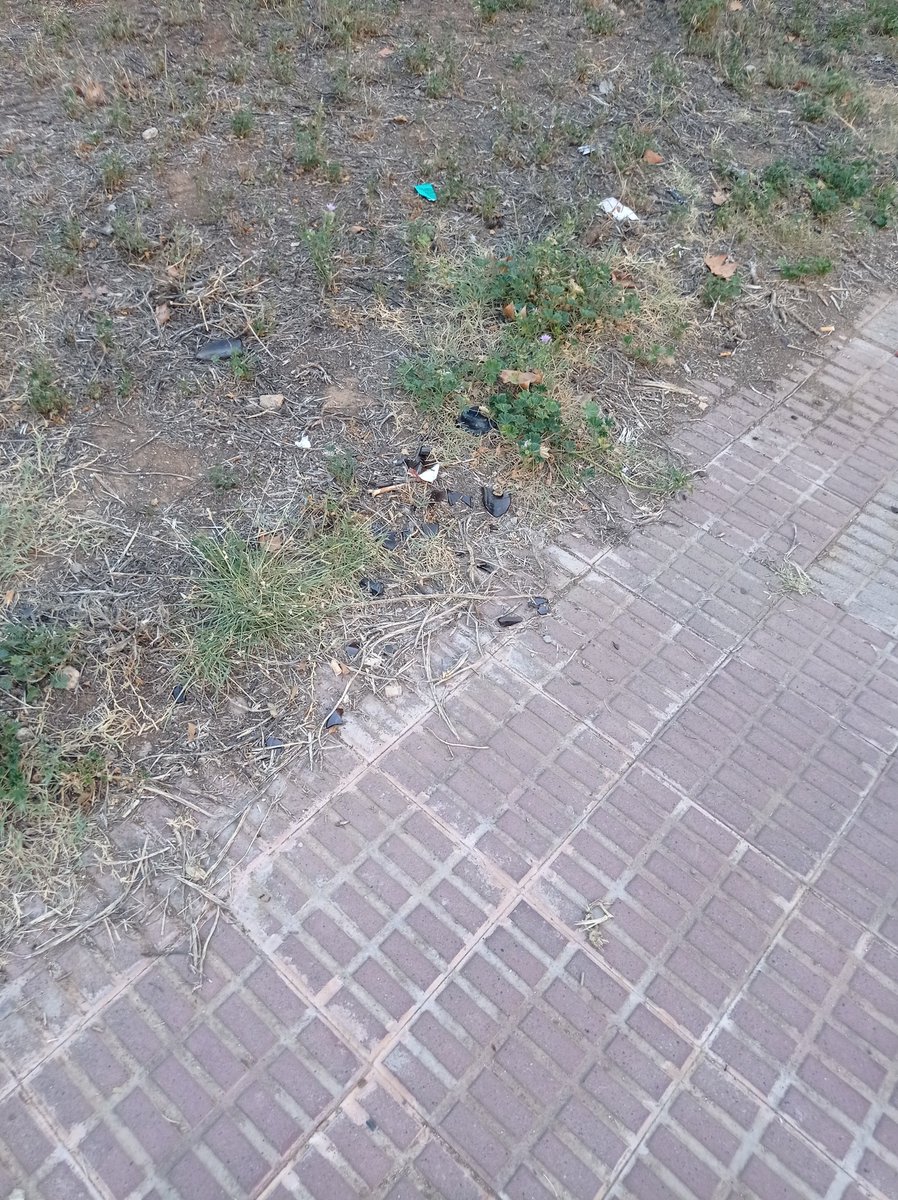 EvaRoca27's tweet photo. @AjuntamentBadia  desde san juan, estos cristales están en la zona del aparcamiento de la Zaragoza, de verdad en más de un mes, no ha pasado ningún barrendero/a, y lo ha recogido? Hay puesta incidencia en la linea verde, pero ni la han gestionado. https://t.co/rCFmfbKJhg