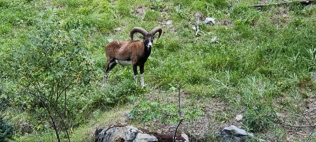 Jacques Gascuel tweet media