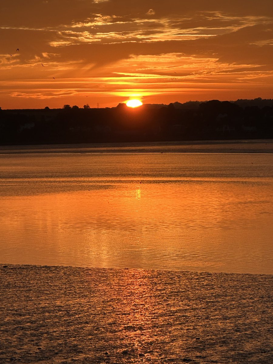 Tim Ridgeway tweet media