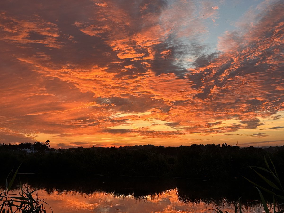 Tim Ridgeway tweet media