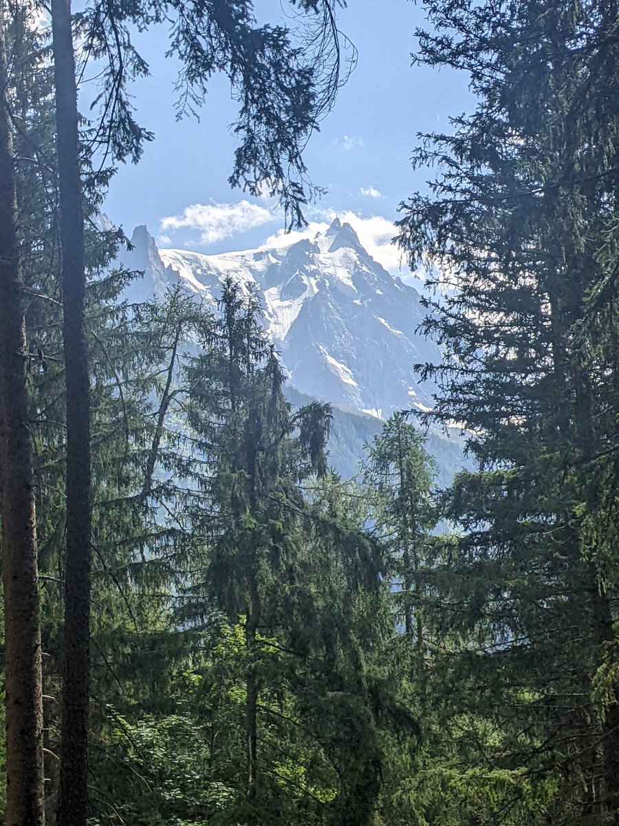 Libby Jones tweet media