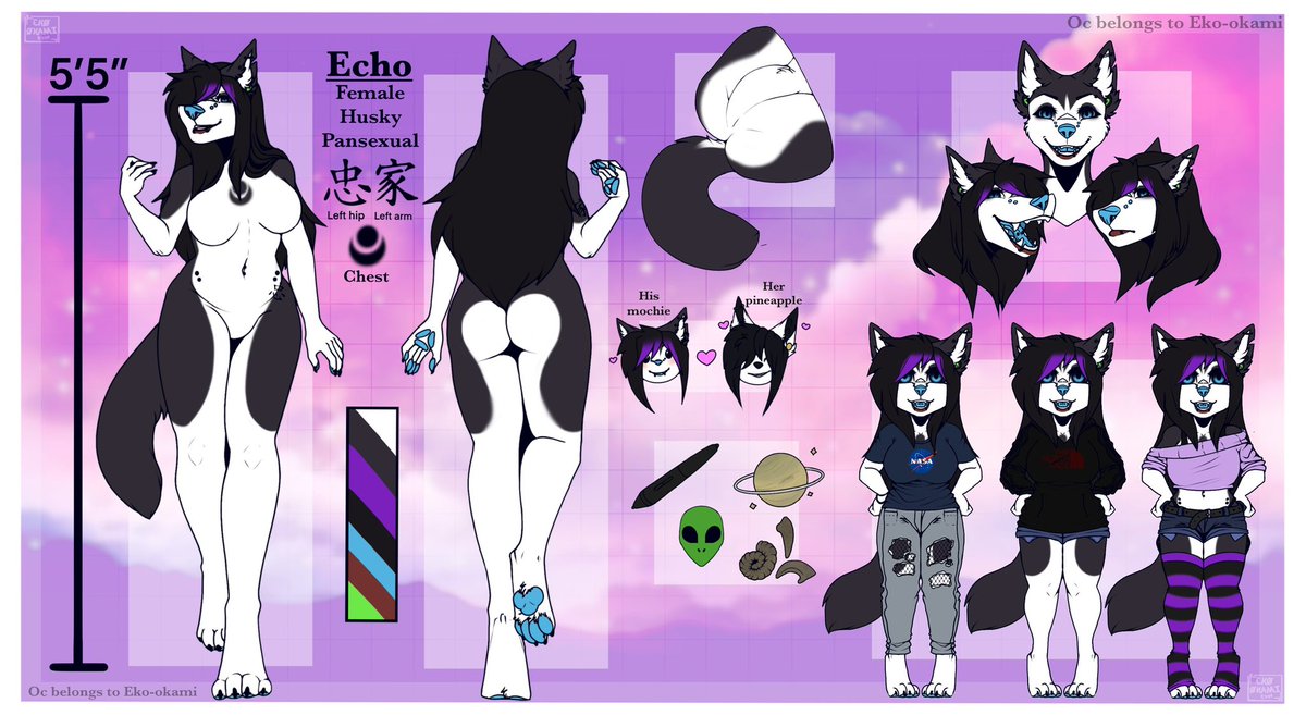 The start of echo. 2016 echo now 2024