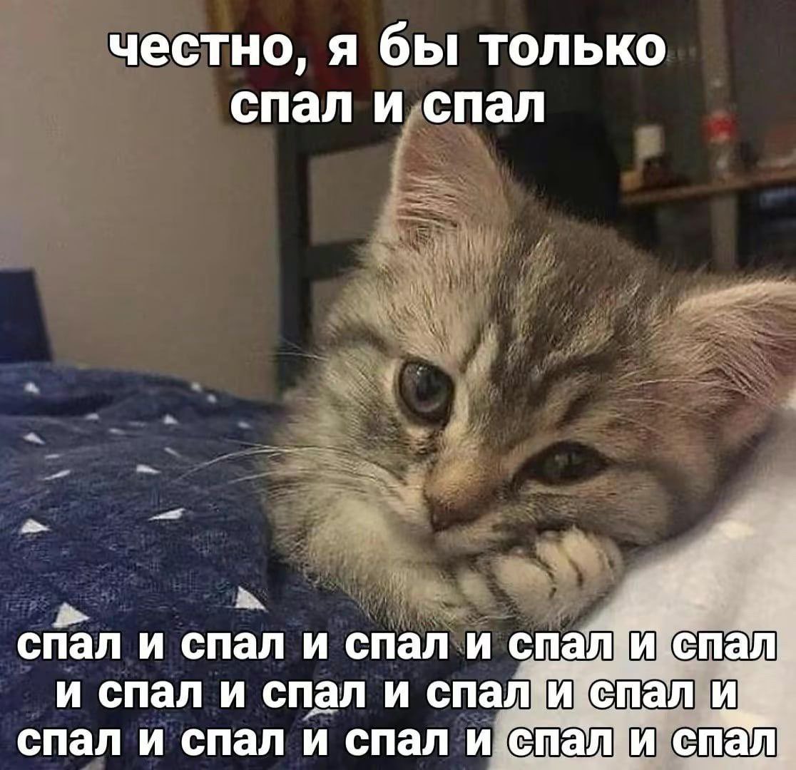 bian_98's tweet photo. https://t.co/5SpA1tzX2D