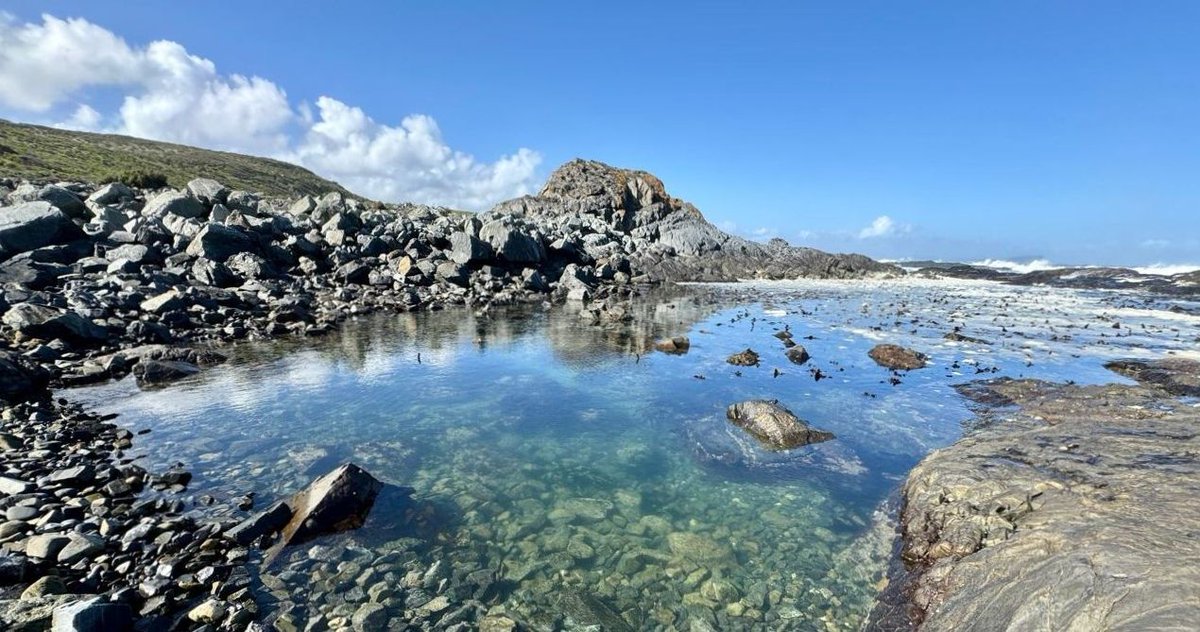 SpringfonteinE's tweet image. Did you know ancient sea traps were used to catch fish sustainably during high tide? 

Learn more in our blog: l8r.it/Wyug

#SpringfonteinEstate #PebbleBay #Sunset #AncientHistory