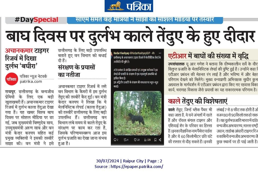 #DaySpecialसाएम समत कई मात्रया न साझा का साशल माडिया पर तस्वार
बाघ दिवस पर दुर्लभ काले तेंदुए के हुए दीदार