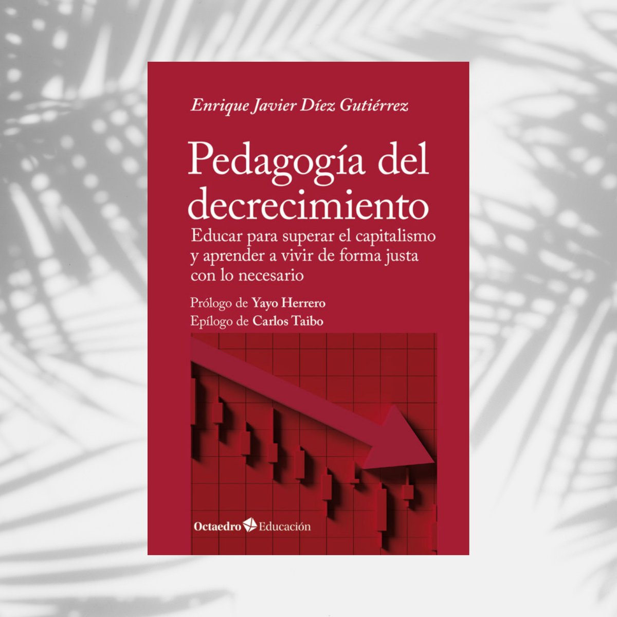 🌞 Els llibres són per l'estiu (o era les bicicletes?), en tot cas, aquí et deixem unes lectures inspiradores per passar les vacances llegint sota un arbre🌳, a la piscina o davant el ventilador, el que et quedi més a prop!🕶 #llibrespervacances #vacances #lecturesrecomanades