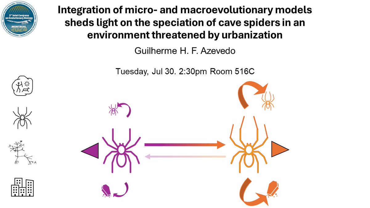 If you are at #Evol2024 and are interested in diversification models and/or spiders, come see my talk today in the  room 516C at 2:30pm. I will present our approach to test the influence of trait on the speciation completion in a protracted speciation model.