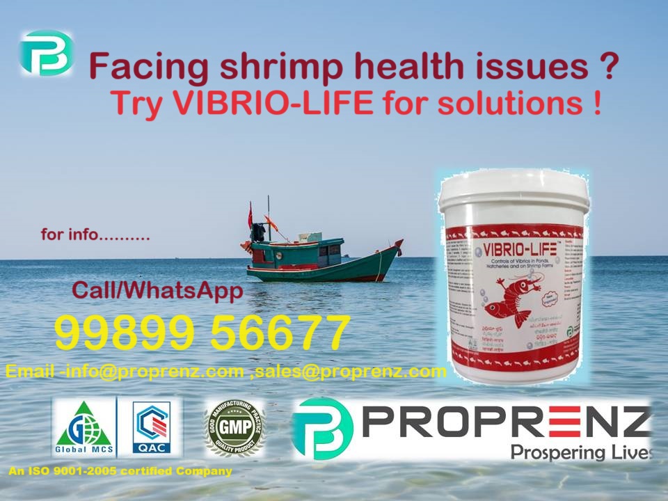 Facing shrimp health issues ? 
VIBRIO-LIFE tackles shrimp health issues by controlling harmful bacteria and preventing infections. It keeps your pond environment clean, reduces mortality, and supports a balanced ecosystem for thriving shrimp.