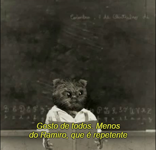 brunoaleixo's tweet photo. Hoje é: DIA INTERNACIONAL DA AMIZADE 🤝 https://t.co/C3vQJTeAHF