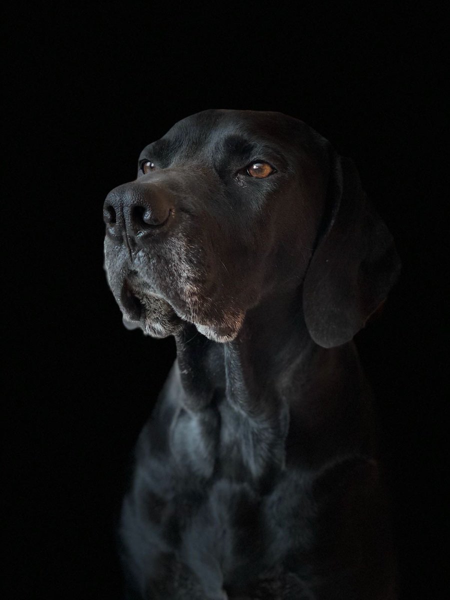 Dani Beltran Mosquera🎗 tweet media