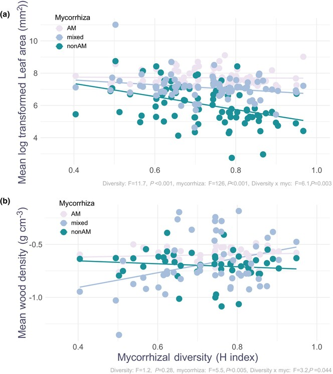 Mechanisms of coexistence: Exploring species sorting and character displacement in woody plants to alleviate belowground competition #mycorrhiza <a href="/Ecology_Letters/">Ecology Letters</a> with <a href="/JosepPenuelas/">Josep Penuelas</a> 

dx.doi.org/10.1111/ele.14…