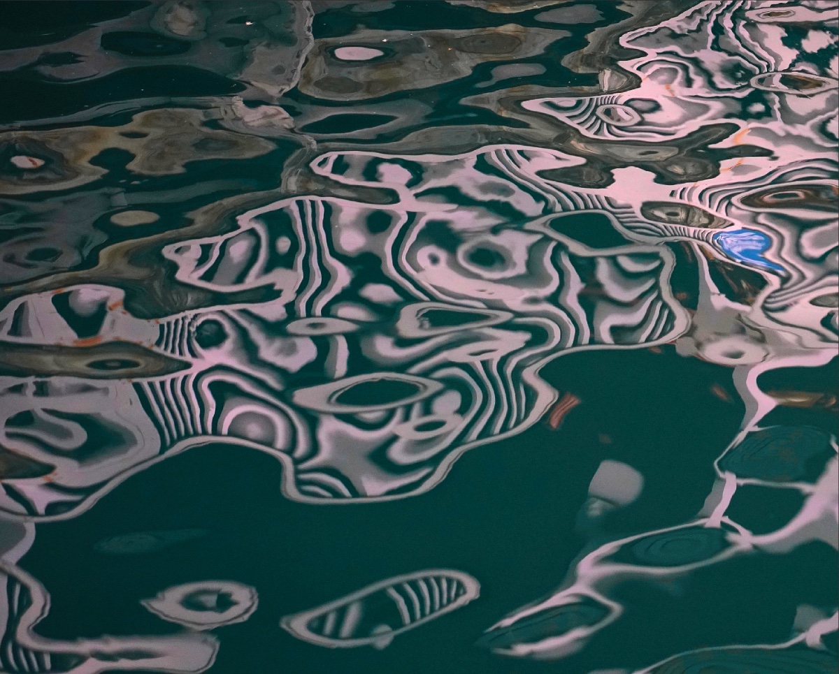 It's Quiet Music Ensemble day at Farpoint Recordings as we proudly launch their new digital album 'whole body like a mouth'

Download + Unlimited Streaming from Bandcamp 
quietmusicensemble.bandcamp.com/album/whole-bo…

#quietmusicensemble #quietmusicens #annamurraymusic #seanmacerlaine #mpisaroliu