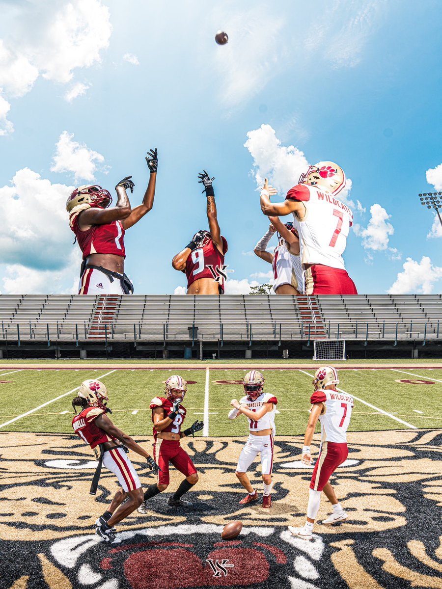 Citronelle Wildcats 🐾 #themackeffect #velishotz
