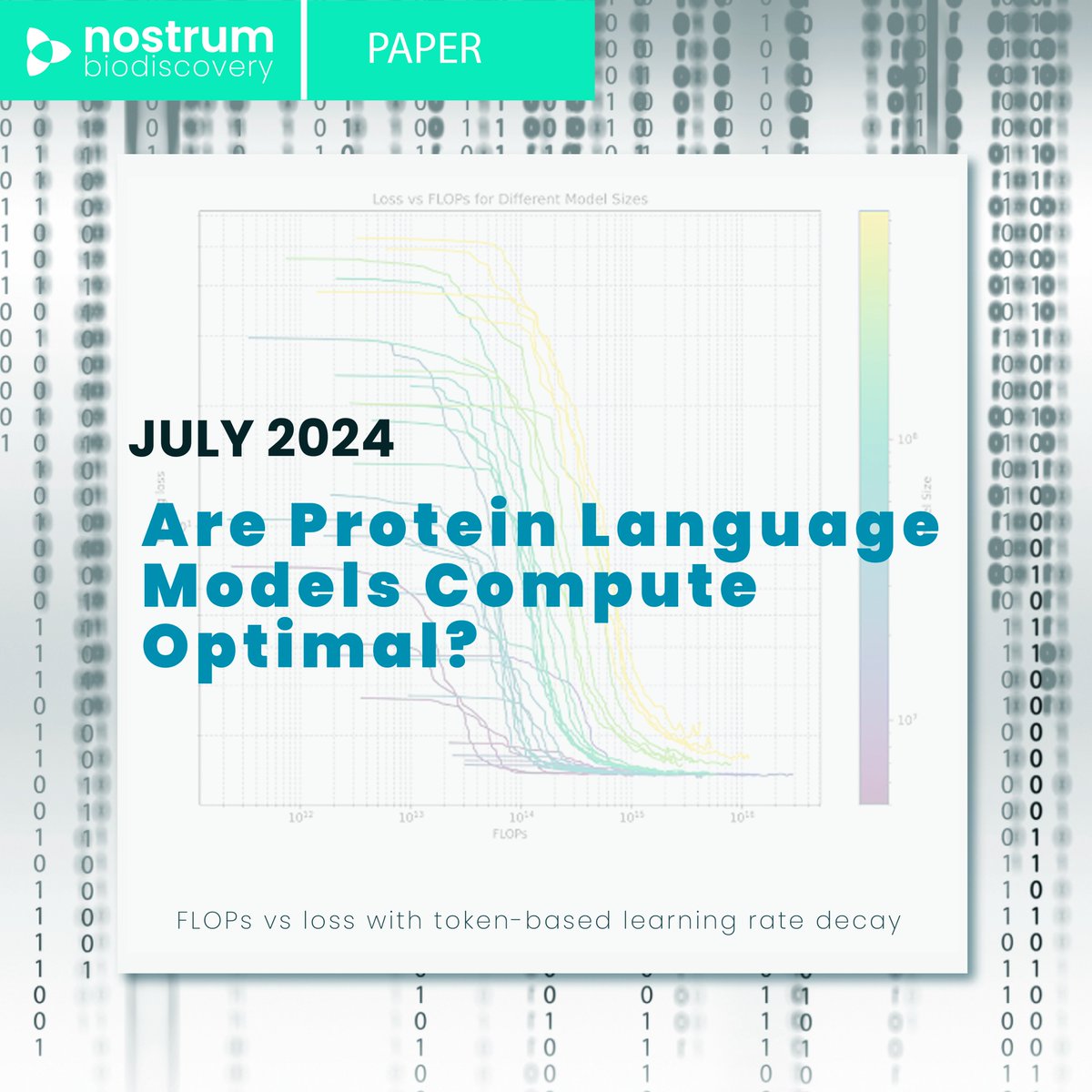 Nostrum Biodiscovery (@hellonostrum) on Twitter photo 2/2. Time to present our second work accepted to the AccMLBio Workshop at <a href="/icmlconf/">ICML Conference</a> on Machine Learning'24 where we posed the following question: Are protein language models (pLMs) compute optimal?
You can check the paper out here: lnkd.in/d_Xxq8rq 2/2. Time to present our second work accepted to the AccMLBio Workshop at <a href="/icmlconf/">ICML Conference</a> on Machine Learning'24 where we posed the following question: Are protein language models (pLMs) compute optimal?
You can check the paper out here: lnkd.in/d_Xxq8rq