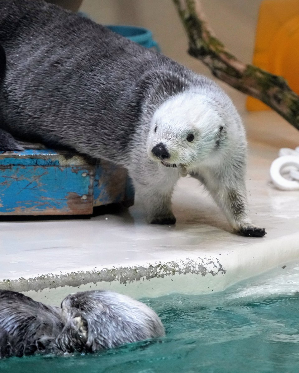 めっちゃ見てる