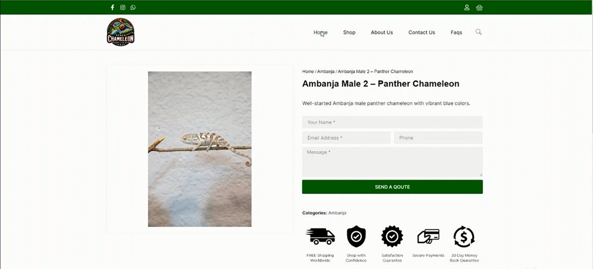 Rahmanwebdigital | WordPress | Ecommerce Expert (@devtahmid1) on Twitter photo Excited to Share My Latest Project! 🚀
I finished an eCommerce website for my client using #WordPress and #Woocommerce.
Contact for any query
💻 lnkd.in/g_mCXisk
✉️ rahman@rahmanwebdigital.com
☎️+88-01863109871 (WhatsApp/Telegram)
#WordPress #OnlineStore #ECommerce Excited to Share My Latest Project! 🚀
I finished an eCommerce website for my client using #WordPress and #Woocommerce.
Contact for any query
💻 lnkd.in/g_mCXisk
✉️ rahman@rahmanwebdigital.com
☎️+88-01863109871 (WhatsApp/Telegram)
#WordPress #OnlineStore #ECommerce