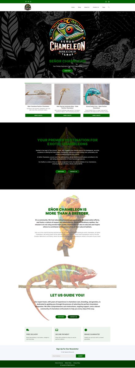 devtahmid1's tweet photo. Excited to Share My Latest Project! 🚀

I finished an eCommerce website for my client using #WordPress  and #Woocommerce.

Contact for any query
💻 https://t.co/dXQMQ8h9e6
✉️ rahman@rahmanwebdigital.com
☎️+88-01863109871 (WhatsApp/Telegram)

#WordPress #OnlineStore #ECommerce https://t.co/fscL1HZVCf
