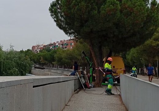 RosaTristan's tweet photo. Ya están poniendo FOCOS en el cauce del Manzanares. A saco. Almeida ni caso a 51.000 vecinos! A 84 científicos! Al sentido común! Para entretener turistas..Y adiós a las aves que anidan!  https://t.co/uS3ublM1f7. @SEO_BirdLife @ecologistas @MistralS @carlosbardem @rafaruizmad https://t.co/kY6FFo5Cas