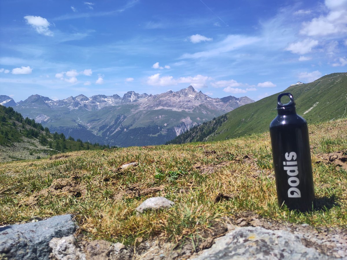 #DodisGoes dodis.ch/G1417