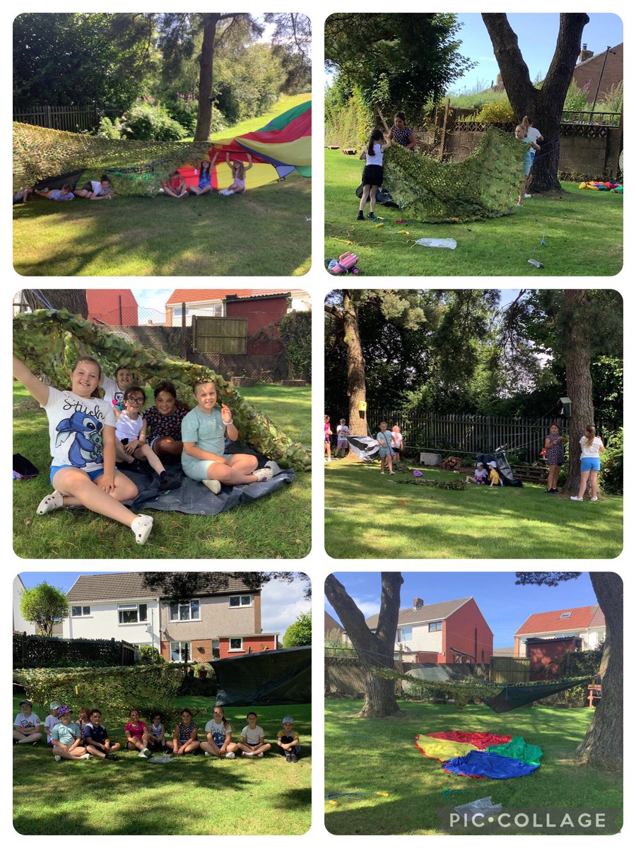 Trinant Primary tweet media