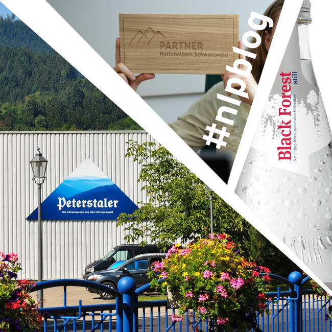nlpschwarzwald's tweet image. Neues aus dem #NLPBlog:

Ein Geben und Nehmen: Partnerschaft zwischen Unternehmen und Nationalpark

nationalpark-schwarzwald.de/de/nationalpar…

#NationalparkSchwarzwald #Nationalpark #Schwarzwald #Nationalparkpartner #bawü #Partner #Peterstaler
