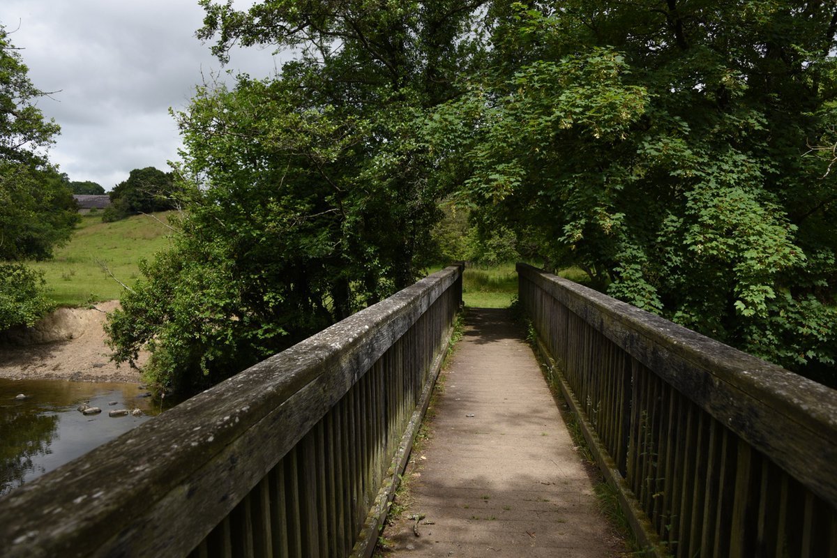 HeartWalesLine's tweet photo. ๐ฅพ This Saturday, 3 August, @RailRambles will be leading an 8 mile moderate #CircularWalk from #LlandrindodWells featuring Shaky Bridge, #CefnllysChurch & The Lake. @transport_wales train departs #Shrewsbury 08.56, return journey from Llandrindod 17.02 ๐ฒ https://t.co/lHIJYkiKmr https://t.co/VBQuRKUbcY