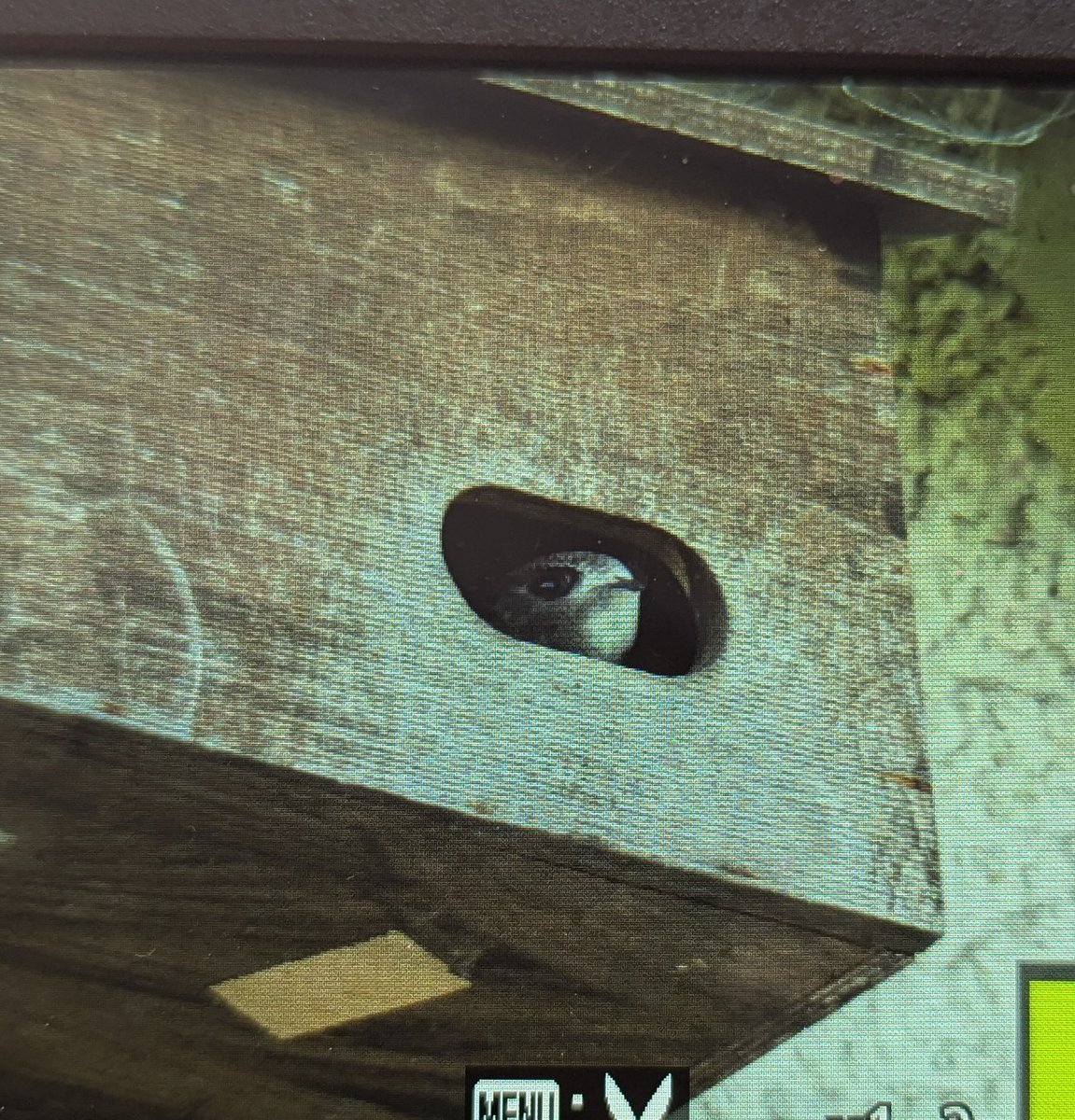 Peaceworks tweet media