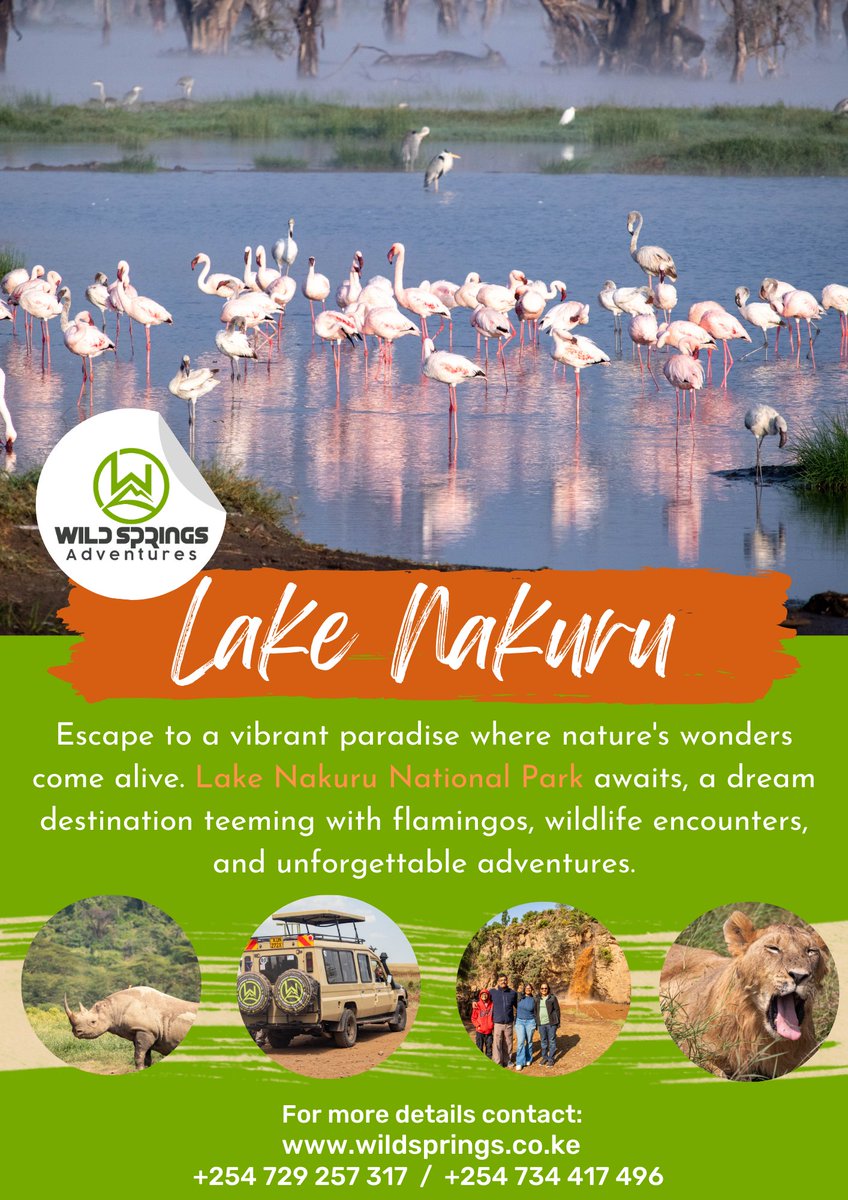 𝐔𝐧𝐯𝐞𝐢𝐥𝐢𝐧𝐠 𝐏𝐚𝐫𝐚𝐝𝐢𝐬𝐞
Lake Nakuru National Park is a vibrant landscape dazzling with thousands of pink flamingos a sight that will leave you breathless.

Wild Springs Adventures can craft your dream Kenyan safari escape to Lake Nakuru!