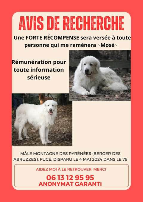 brindille85's tweet photo. https://t.co/xu3yTUKOOl