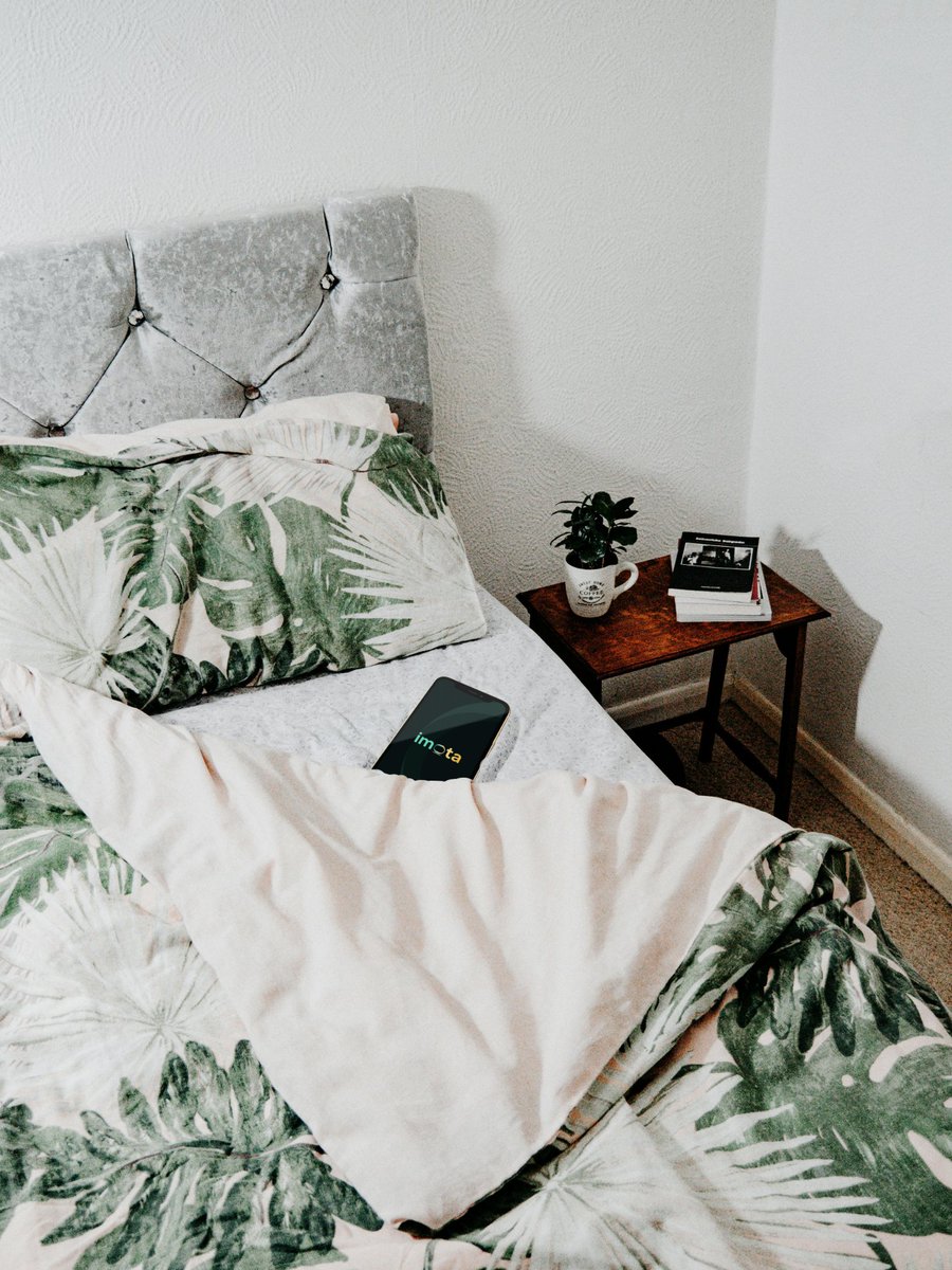Imota_app's tweet image. 🛏 make free time profitable, even bedtime. 

#Imota #earning #web3earning #futurerevenue #otarian #freemining #playtoearn
