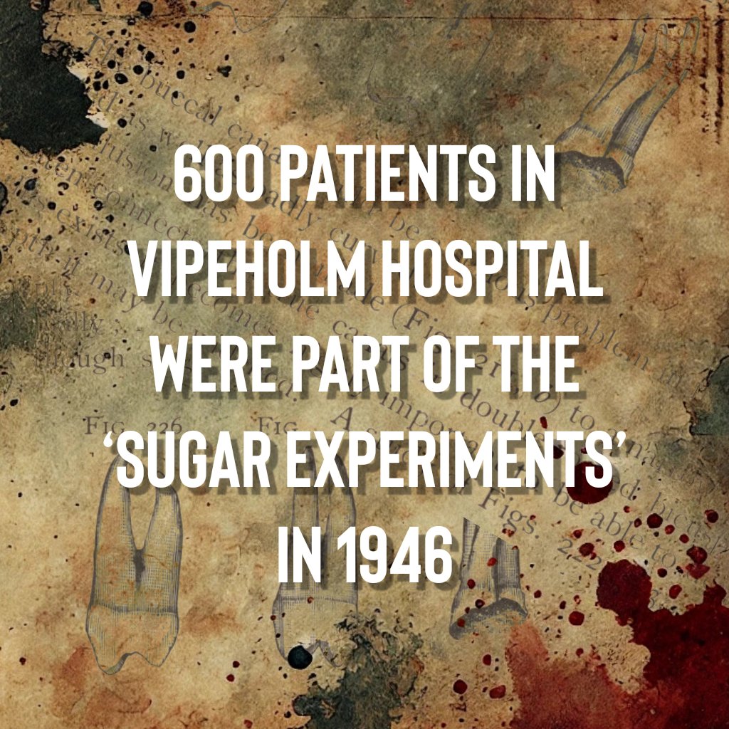 Dr Julia Shaw tweet media