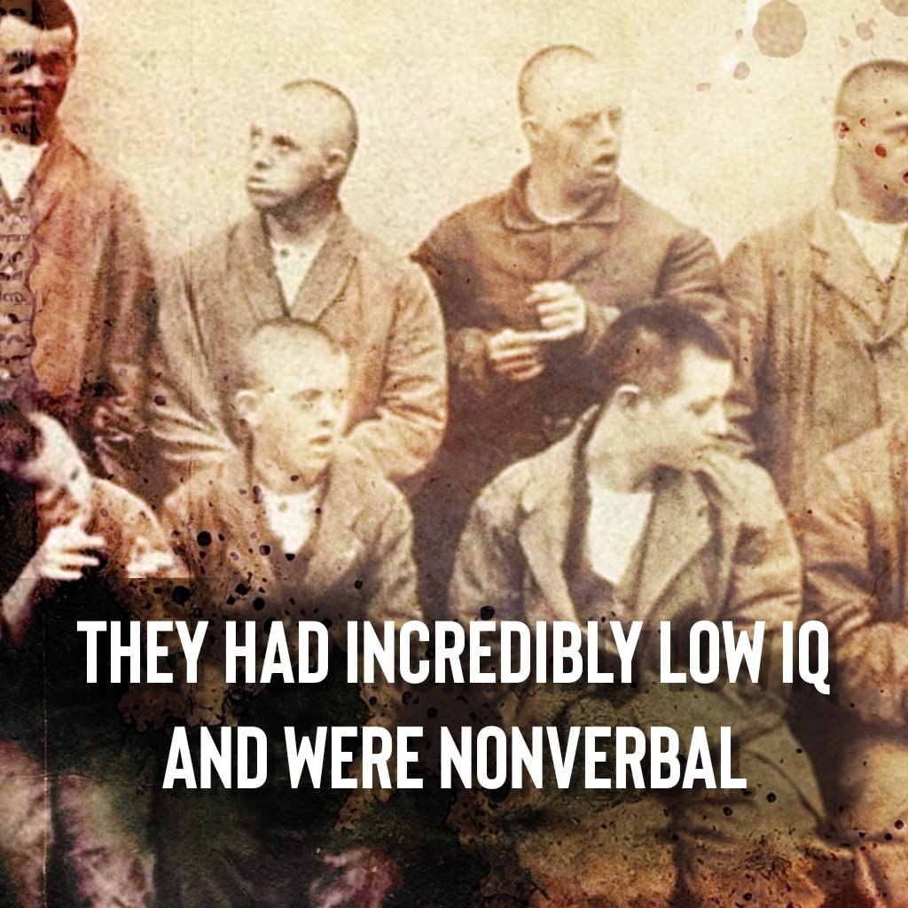 Dr Julia Shaw tweet media