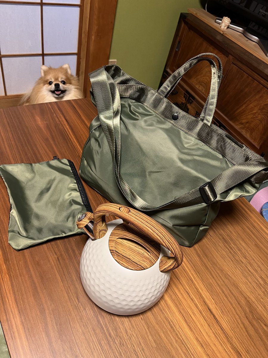 INARI0115's tweet photo. TEMUの無料ゲームで貰えたよ❣️『ファームランド』
5月からコツコツ水やりして
途中あきらめかけたり、
本当に貰えるのか？と疑ったり。
どちらも最高に気に入りました。
TEMUありがとう😊
（写真は2回戦目）
　#teme #TEMU #ファームランド　#無料　#ありがとう https://t.co/sguYgTaRZI