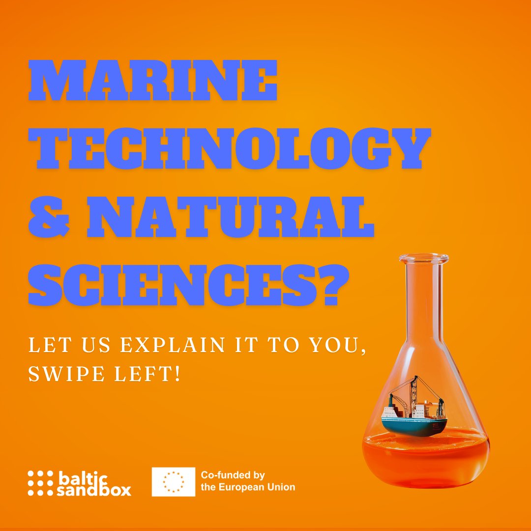 Baltic Sandbox tweet media