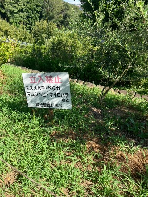 sequenceroid's tweet image. 【生存報告】最近は、何処かの鉄道の全駅に降りる動画など見漁ったり、いつもの道から外れて迷いながら帰宅するのをよくしてます。旅に出るにはお金と心の筋力がちと足りないわたしでも徒歩圏内で旅を感じれます。写真、散策中に発見したドクガも居るかもしれないという緑豊か地帯です。