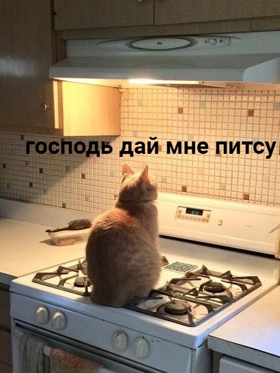 Еду в метро, а тут мужик с тремя коробками пиццы……..